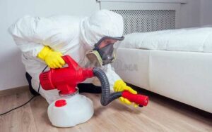 Dératisation – Désinsectisation – Désinfection (Hygiène 3D) à Marrakech